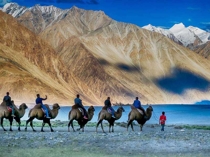 Thoroughly Ladakh