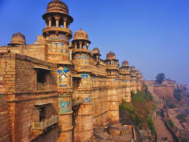 Striking Madhya Pradesh With Tadoba