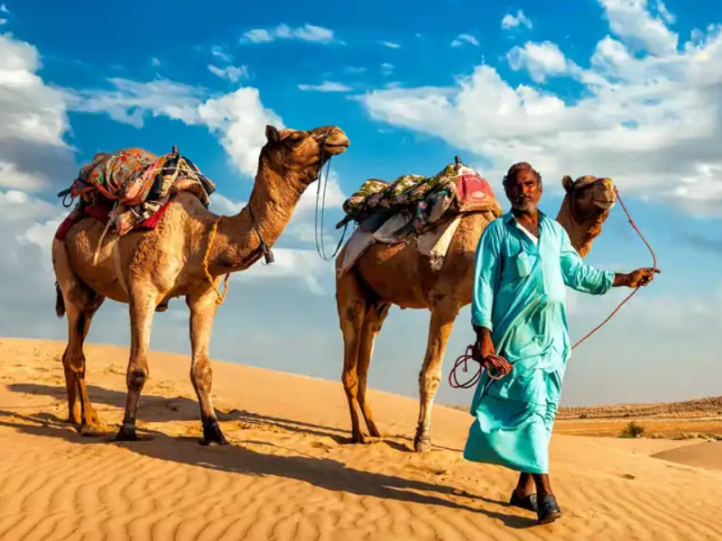 Royal Rajasthan 