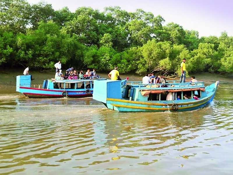 Bhitarkanika: Wildlife & Mangrove Wonderland