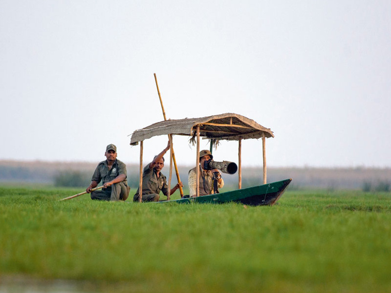 Manglajodi: A Birdwatcher's Paradise