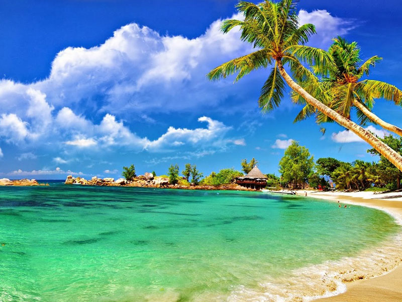 Andaman: A Tropical Paradise 8 Days 7 Nights