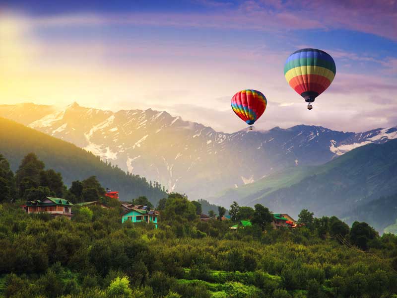 Knockout Himachal